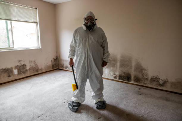 Best Emergency Mold Remediation  in Foscoe, NC