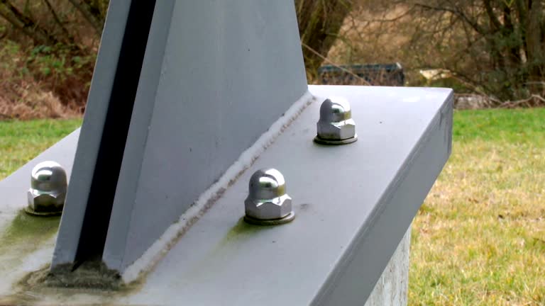 Best Airborne Mold Testing  in Foscoe, NC